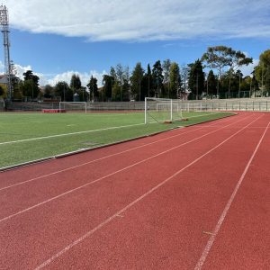 Relva Desportiva
